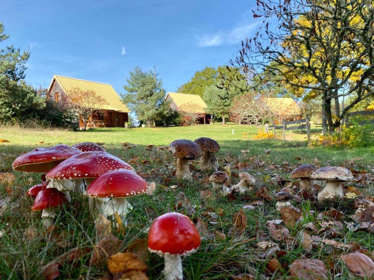 Chalets De L Empereur Ussel  Exteriér fotografie